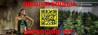 прущие крисы Обь