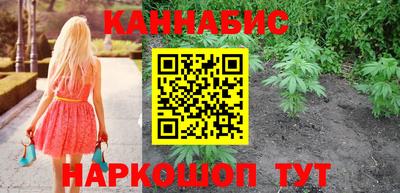 индика Партизанск