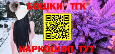 индика Партизанск