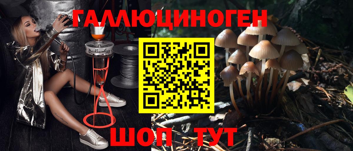 Галлюциногенные грибы Cubensis  Вход с VPN  Анапа 