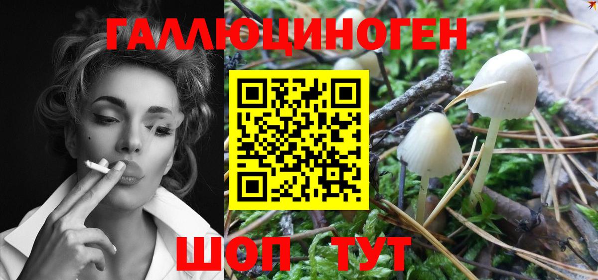 Галлюциногенные грибы MAGIC MUSHROOMS Анапа